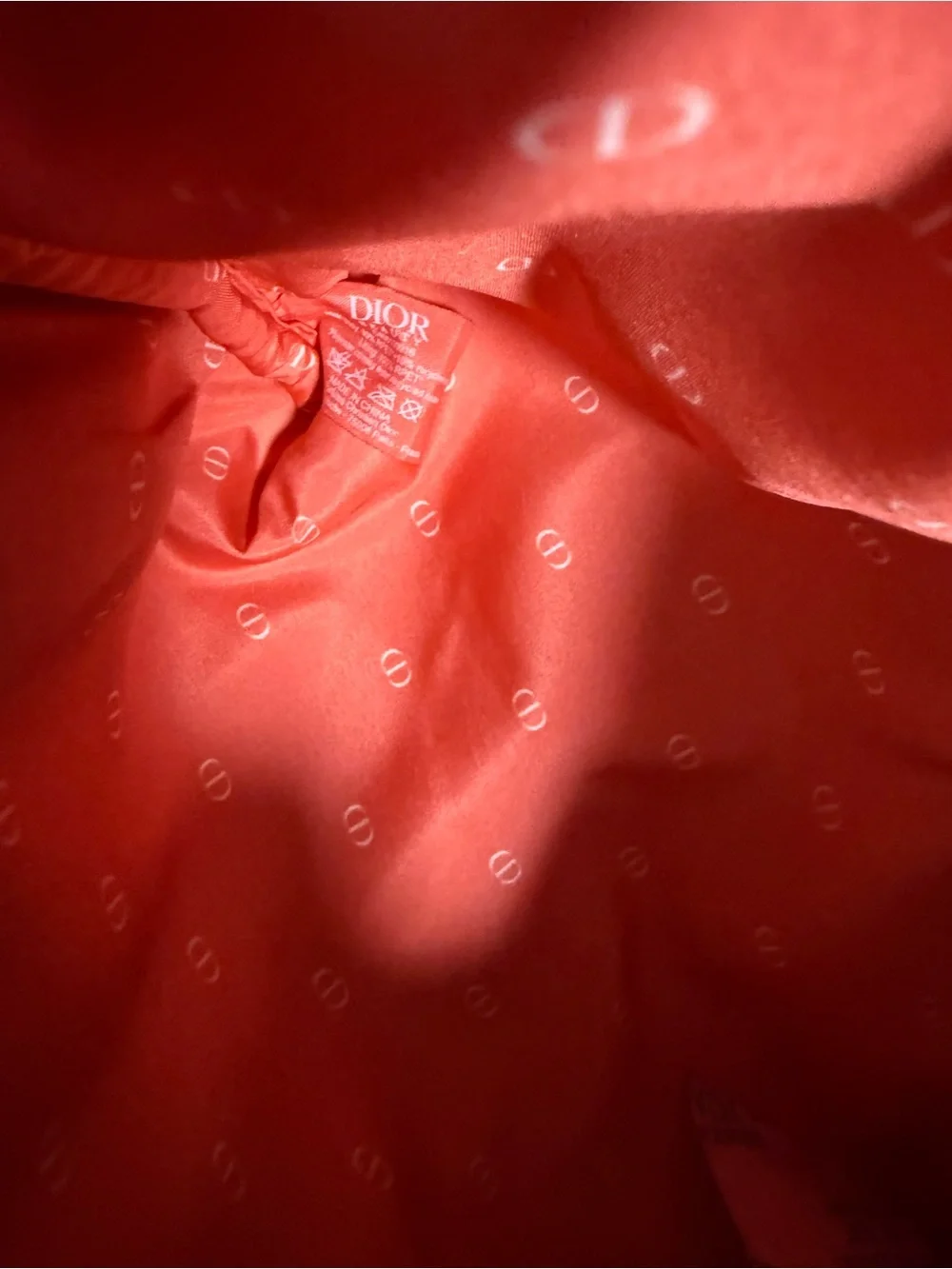 Dior branded pouch